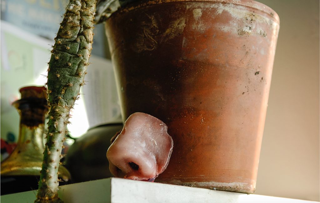 Promesse d'un futur heureux