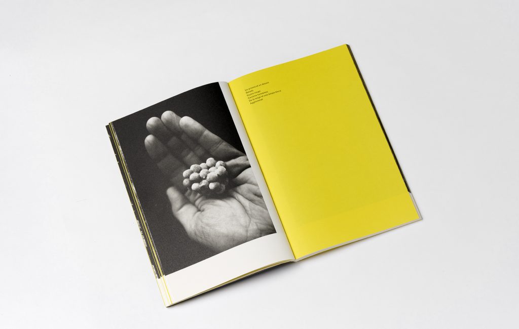 Pages L’État des Choses